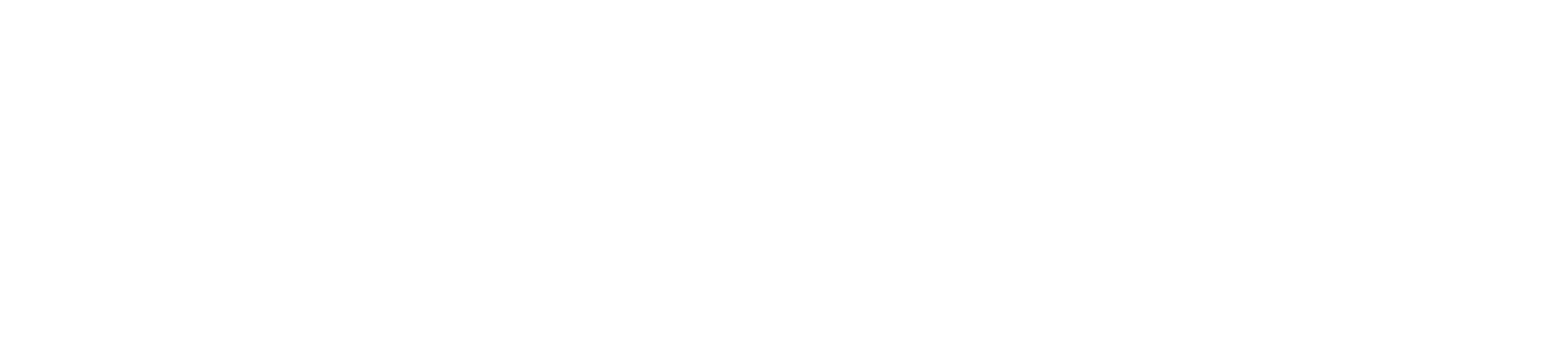 BAW Auto